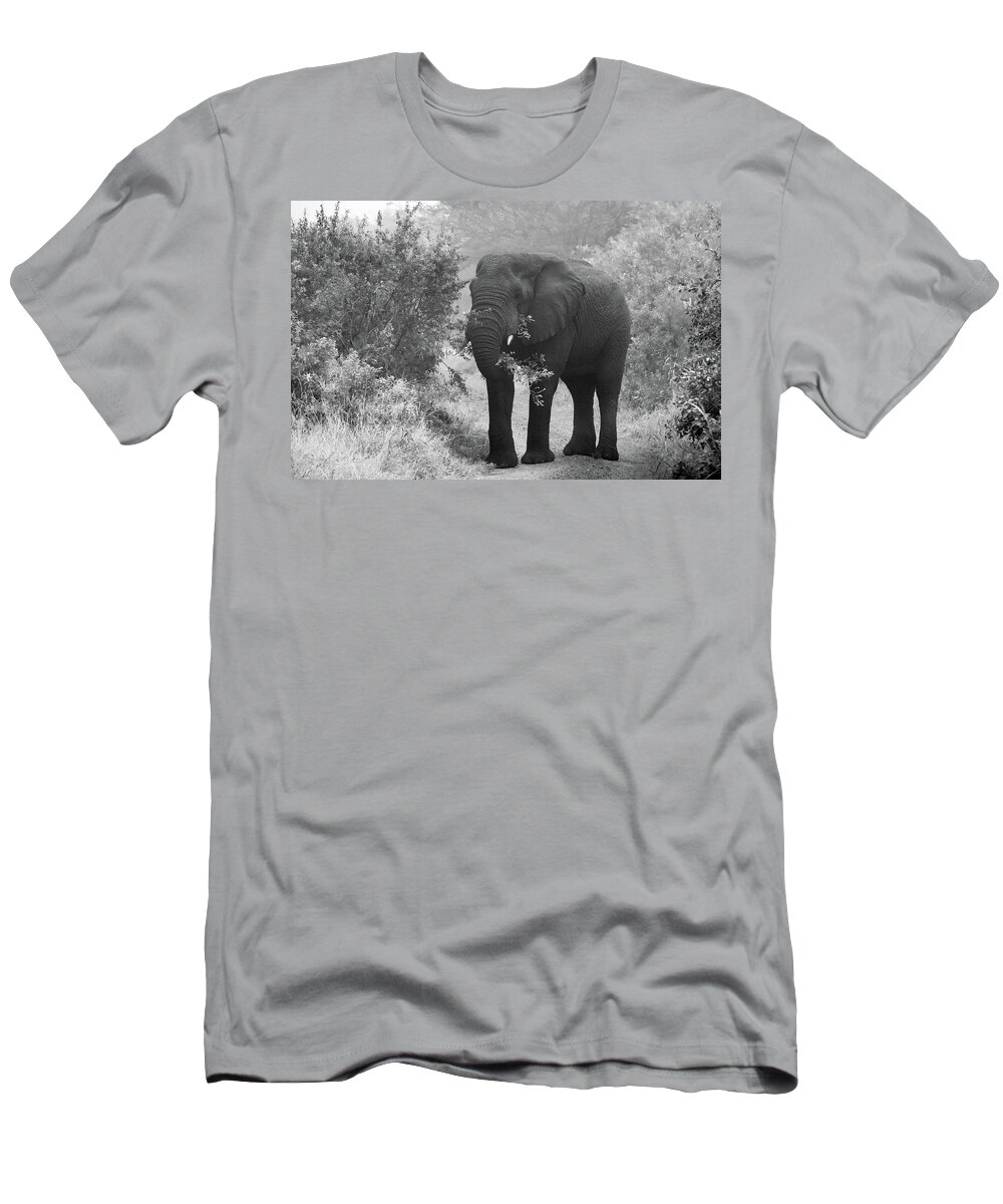 Male Elephant T-Shirt featuring the photograph Breakfast in the African Bush by Marcy Wielfaert