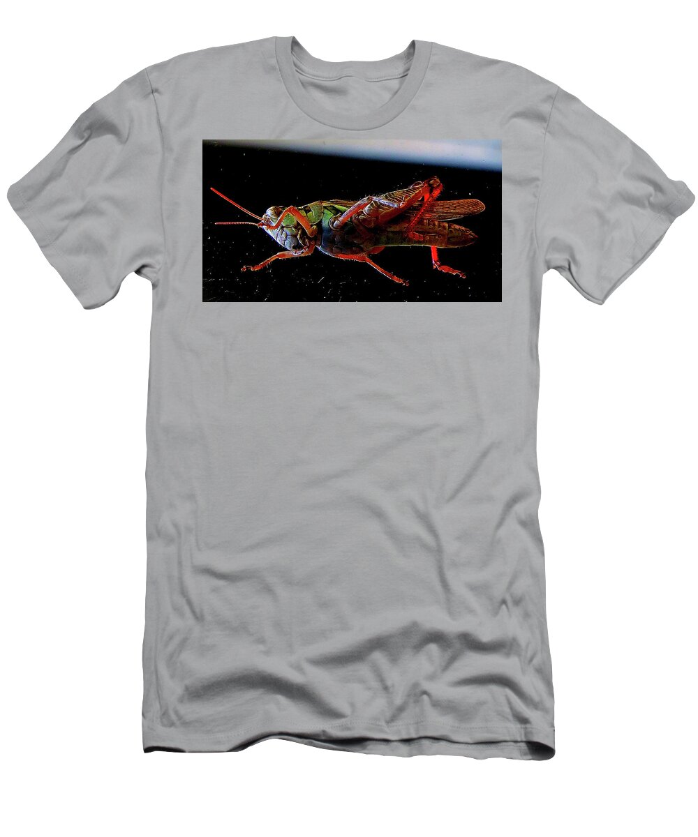 Insects T-Shirt featuring the photograph Bugs From OuterSpace by Linda Stern