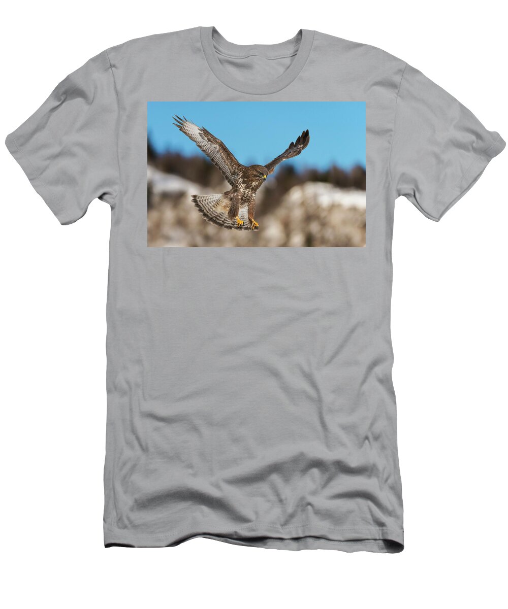 Estock T-Shirt featuring the digital art Buzzard In Fly by Jacopo Rigotti