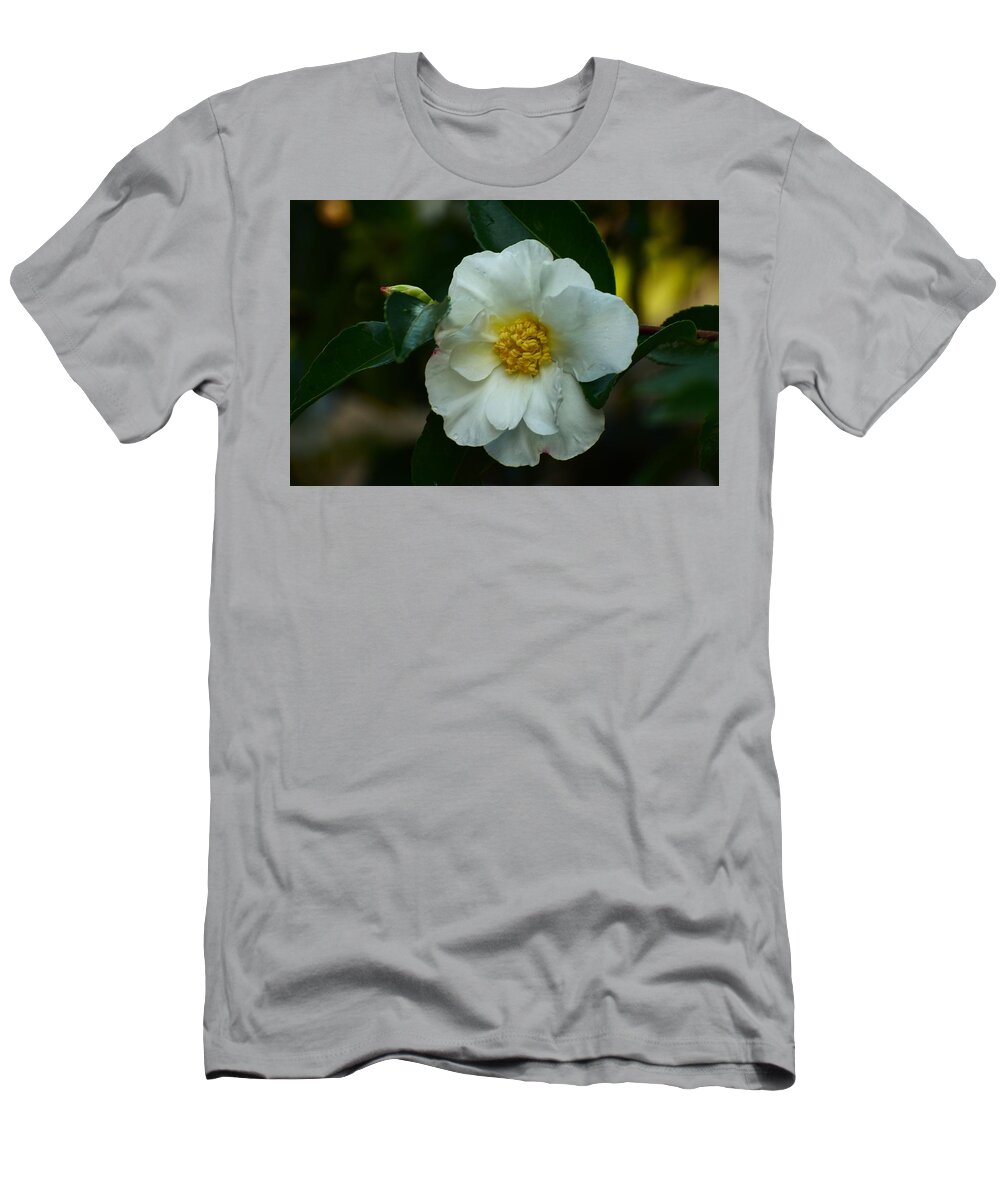 Flowers T-Shirt featuring the photograph Camilla by Jimmy Chuck Smith