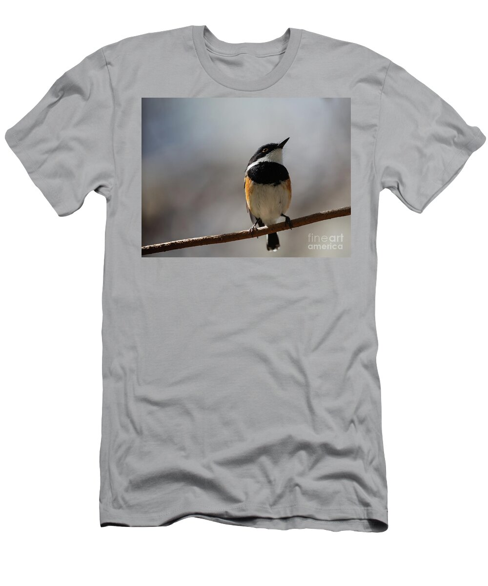 Cape Batis T-Shirt featuring the photograph Cape Batis Male by Eva Lechner