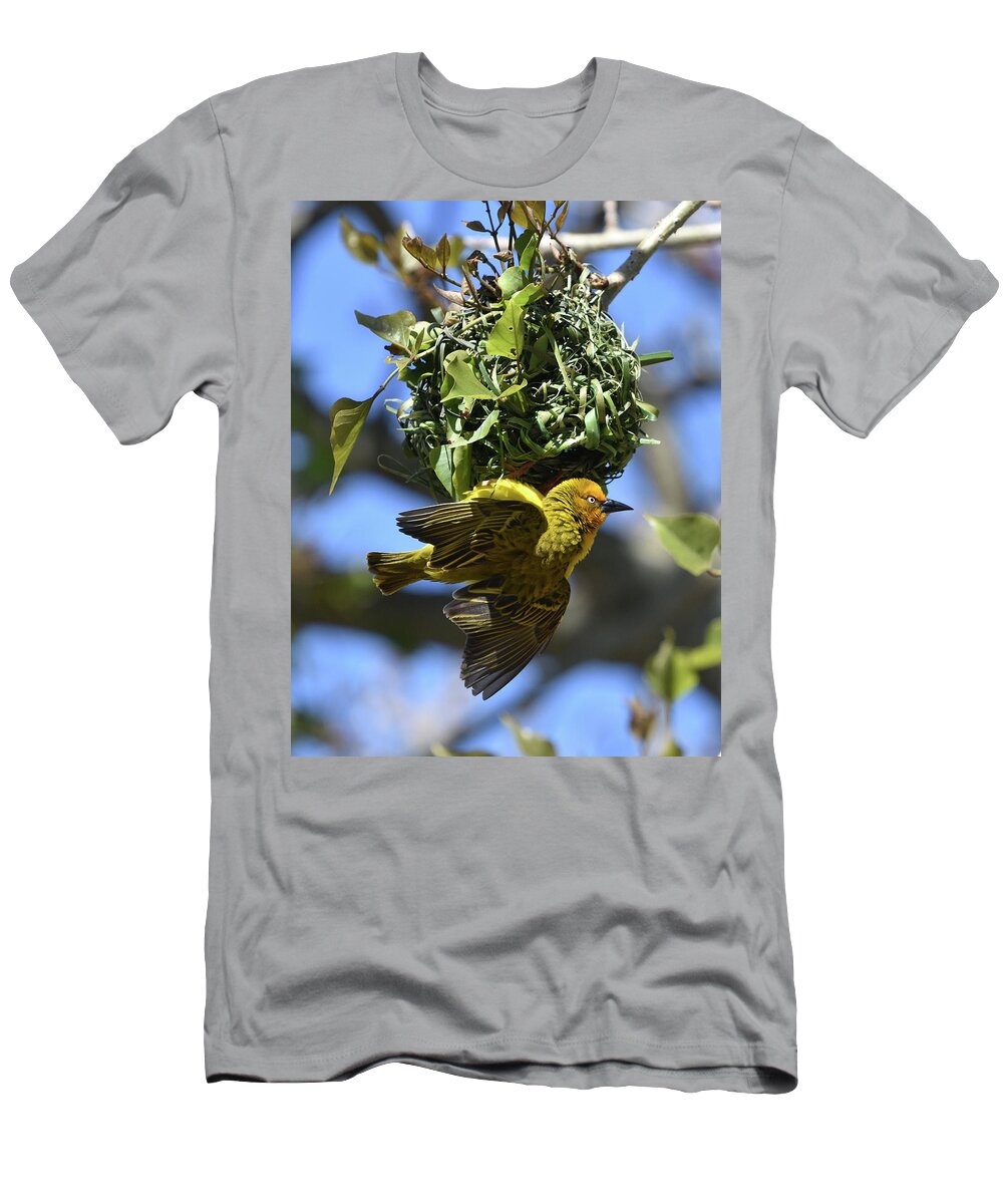 Weaver T-Shirt featuring the photograph Cape Weaver and Nest by Ben Foster