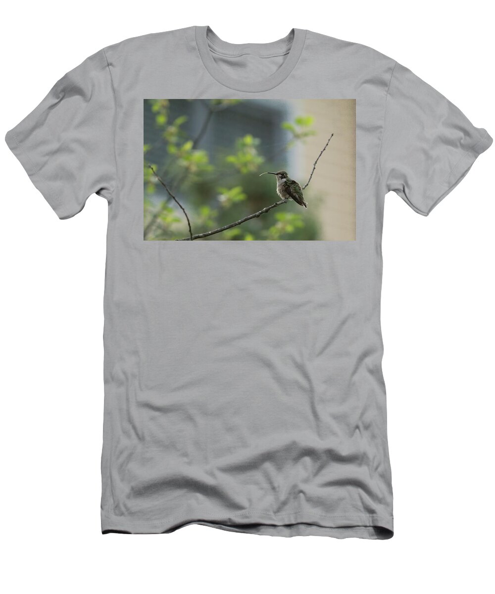 America T-Shirt featuring the photograph Cheeky Hummingbird by Jeff Folger