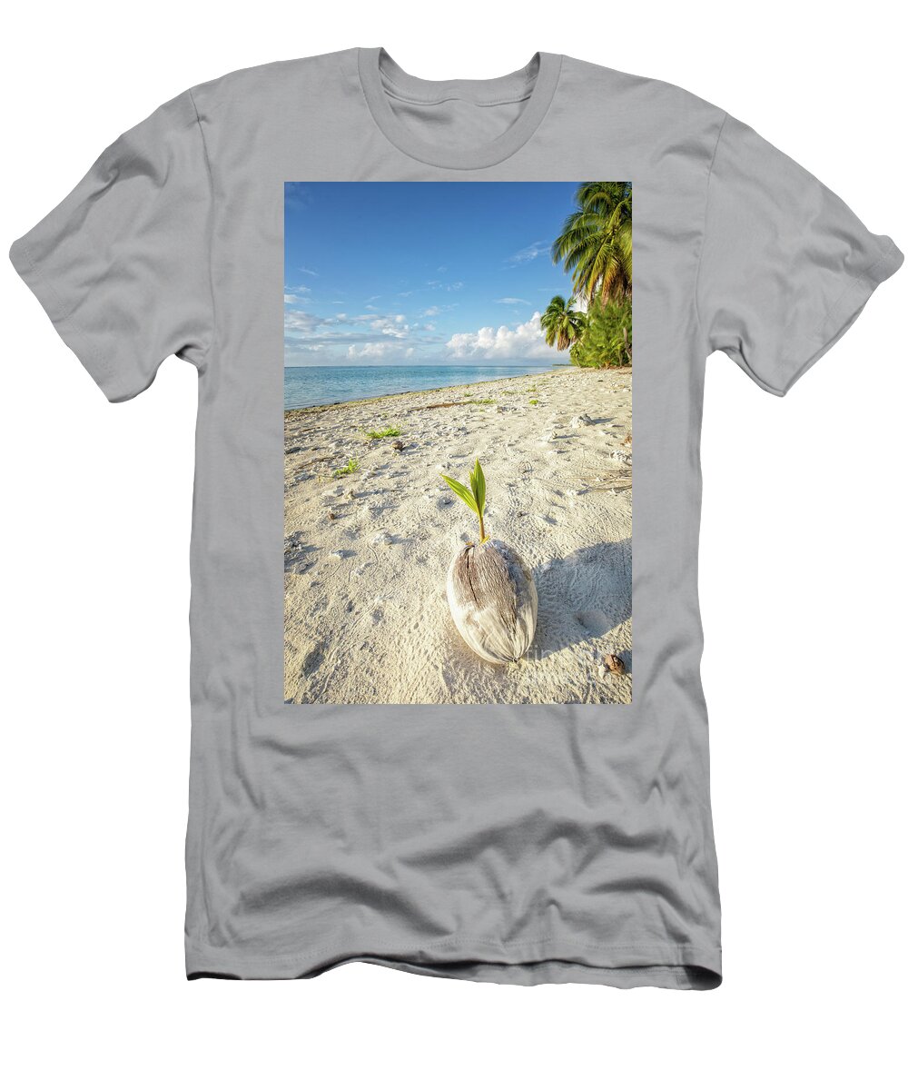 Coconut T-Shirt featuring the photograph Coconut Sprout by Becqi Sherman