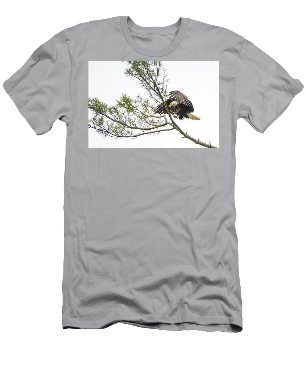Bald Eagle T-Shirt featuring the photograph Coming in for a Landing by Robert J Wagner