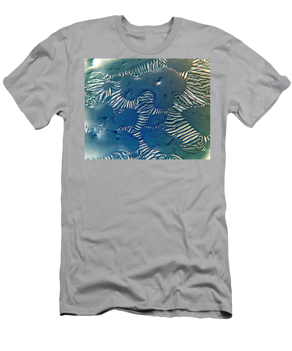  T-Shirt featuring the photograph Connecting by Rein Nomm