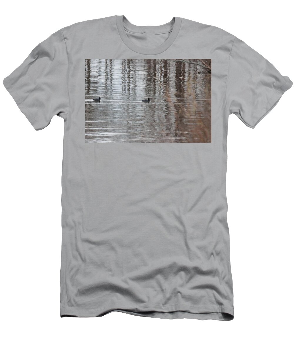 Coot T-Shirt featuring the photograph Coot 3942 by John Moyer