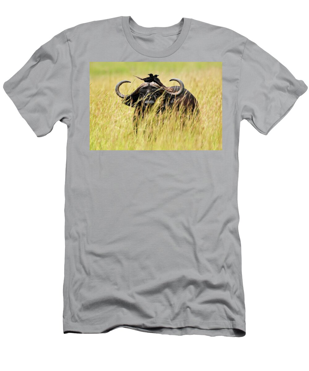 Estock T-Shirt featuring the digital art Crows On Buffalo by Marco Gaiotti