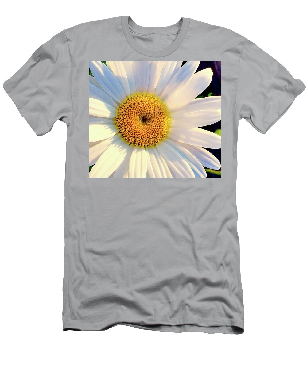 Flower T-Shirt featuring the photograph Daisy by Alida M Haslett
