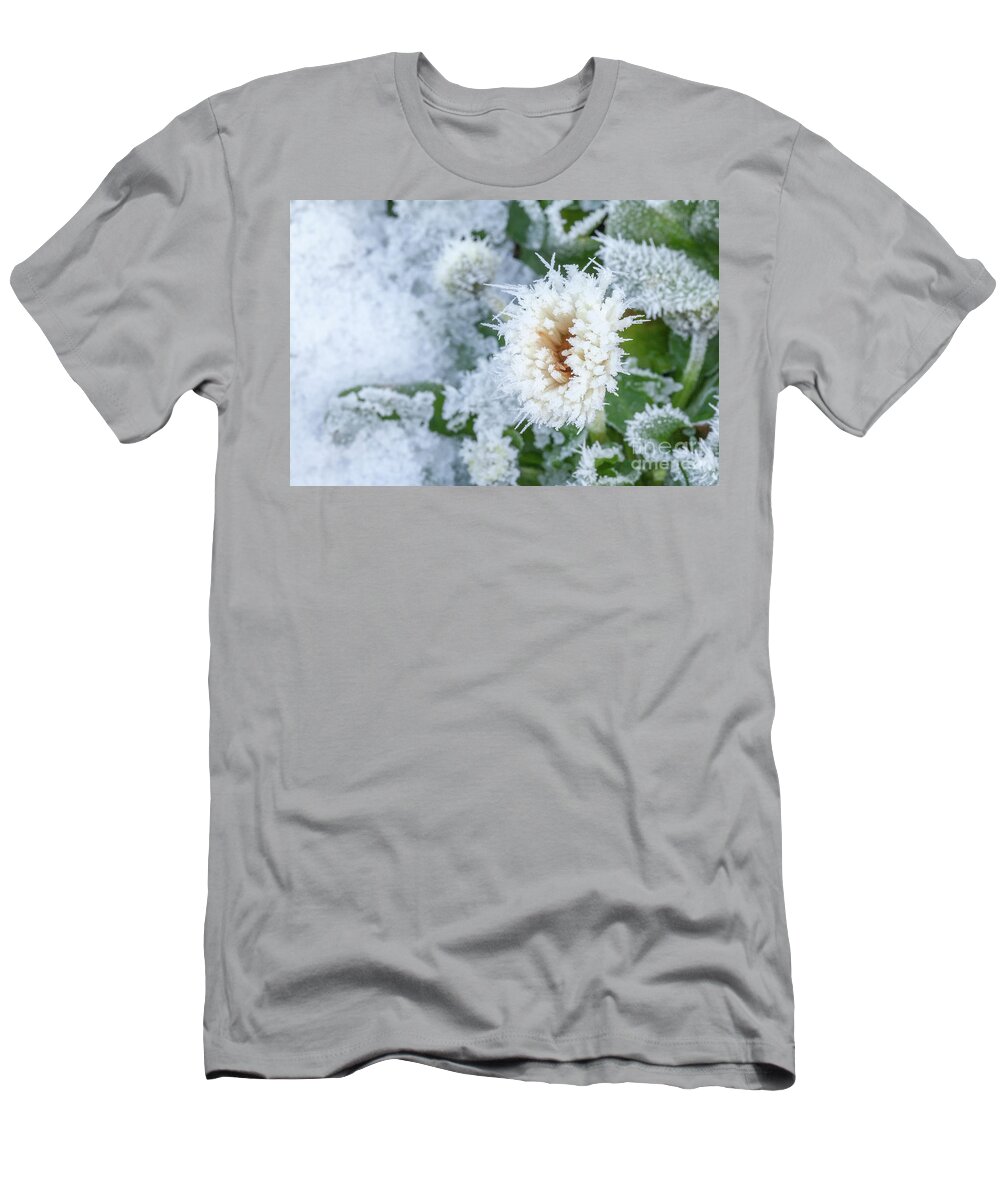 Flower T-Shirt featuring the photograph Daisy flower covered in winter ice by Simon Bratt