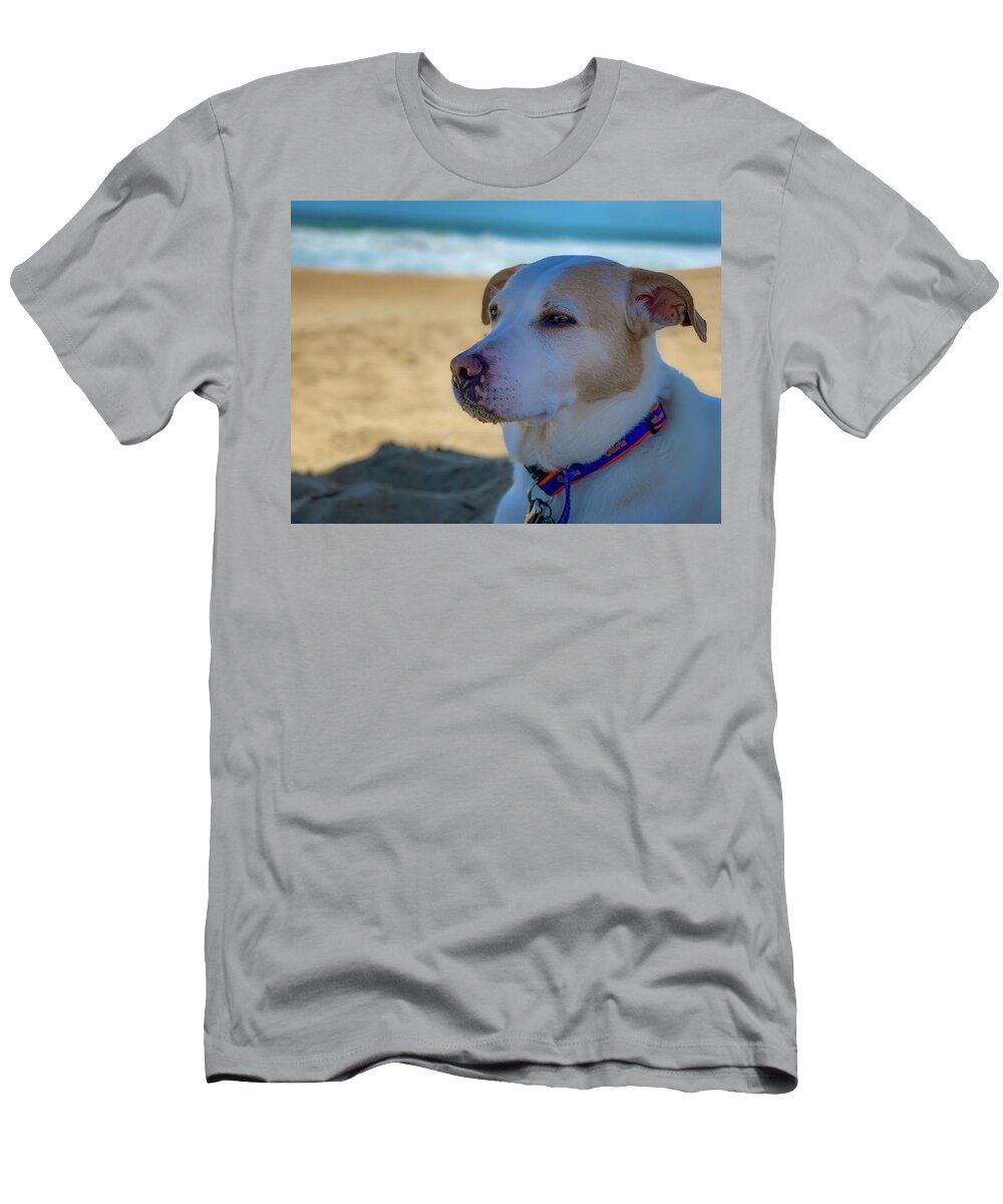 Dog T-Shirt featuring the photograph Daydreaming Dog on the Beach by Lora J Wilson