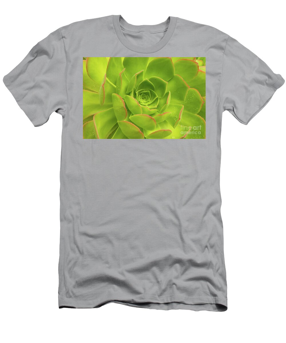 Aloe T-Shirt featuring the photograph Detail Of A Fresh Green Succulent Plant With Pure Raindrops On Its Colorful Leaves by Andreas Berthold
