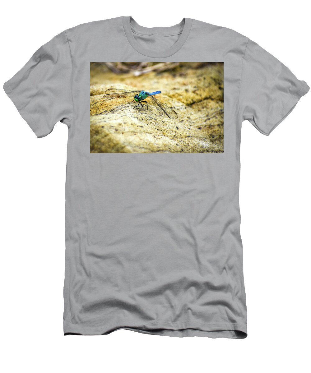Dragon Fly T-Shirt featuring the photograph Dragon Fly by Michelle Wittensoldner