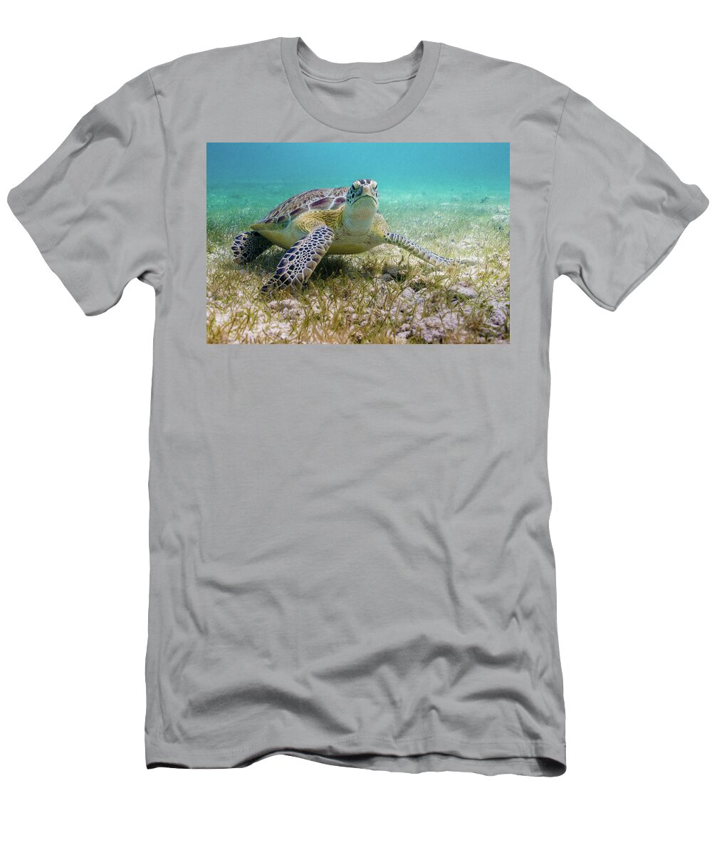 Turtle T-Shirt featuring the photograph Dude by Lynne Browne