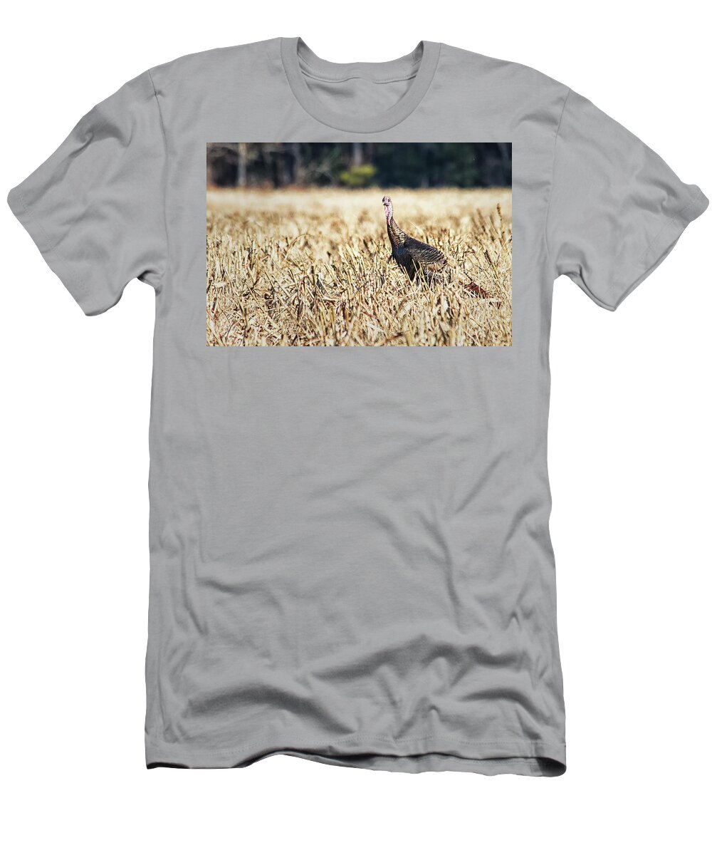 Wild T-Shirt featuring the photograph Eastern Wild Turkey in NC by Bob Decker