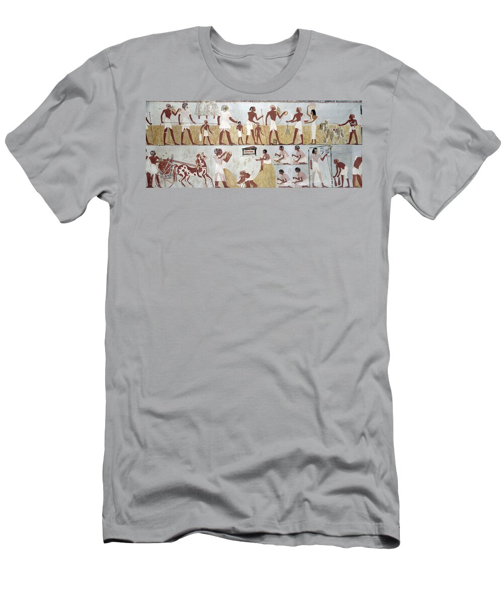 B1019 T-Shirt featuring the painting Egypt: Harvest by Charles K. Wilkinson