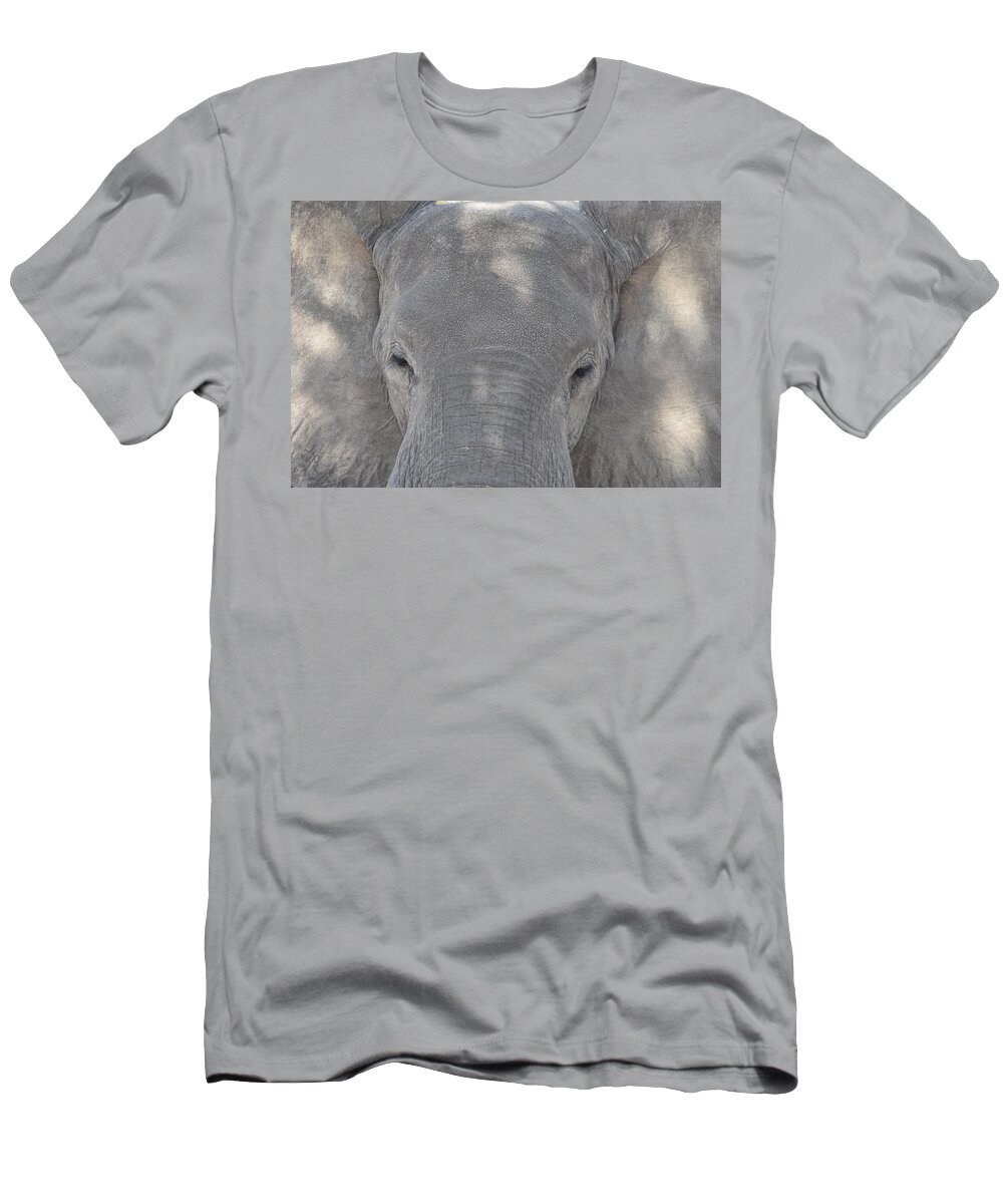 Elephant T-Shirt featuring the photograph Elephant Closeup by Ben Foster