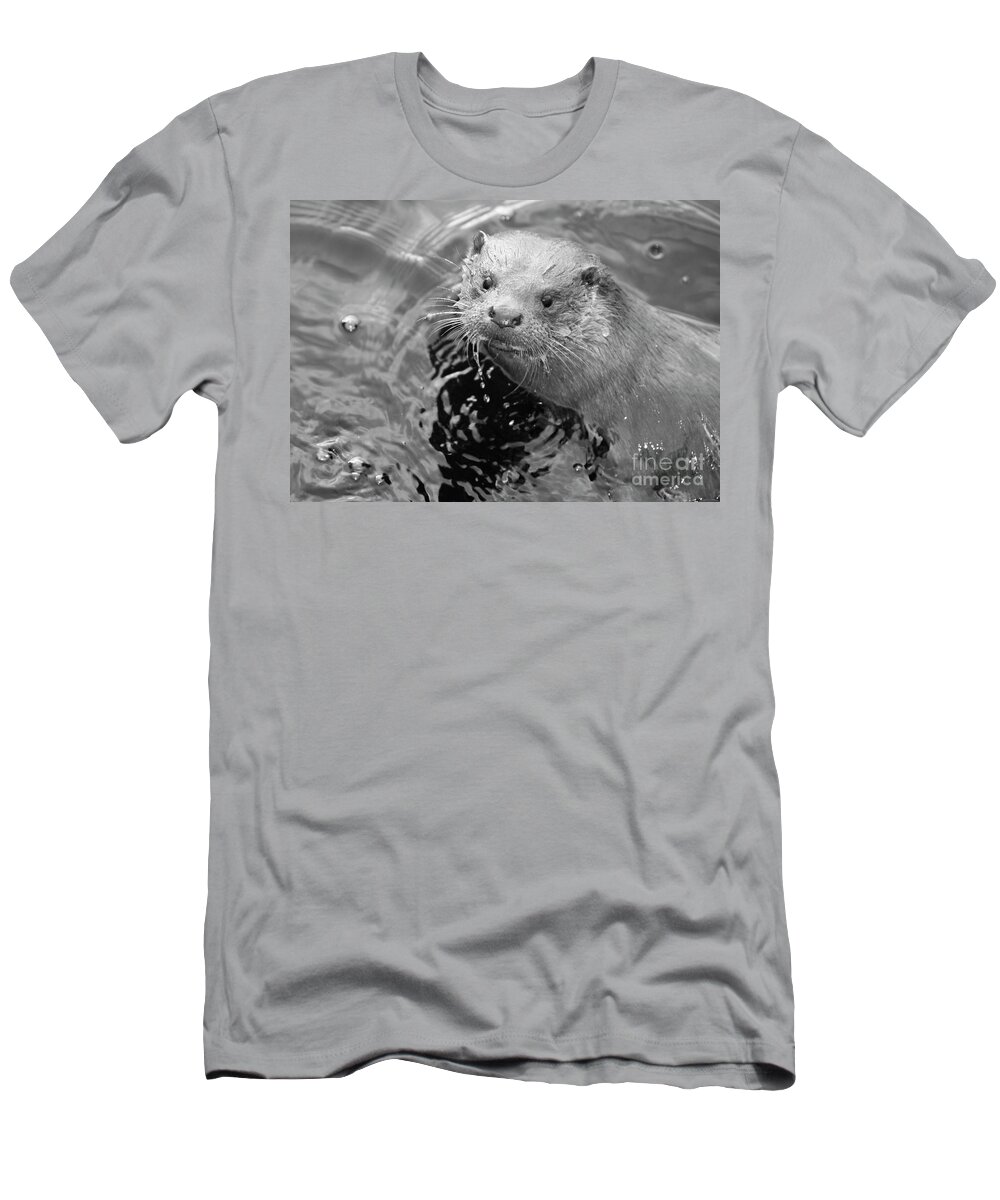 Ambleside T-Shirt featuring the photograph European Otter by Science Photo Library