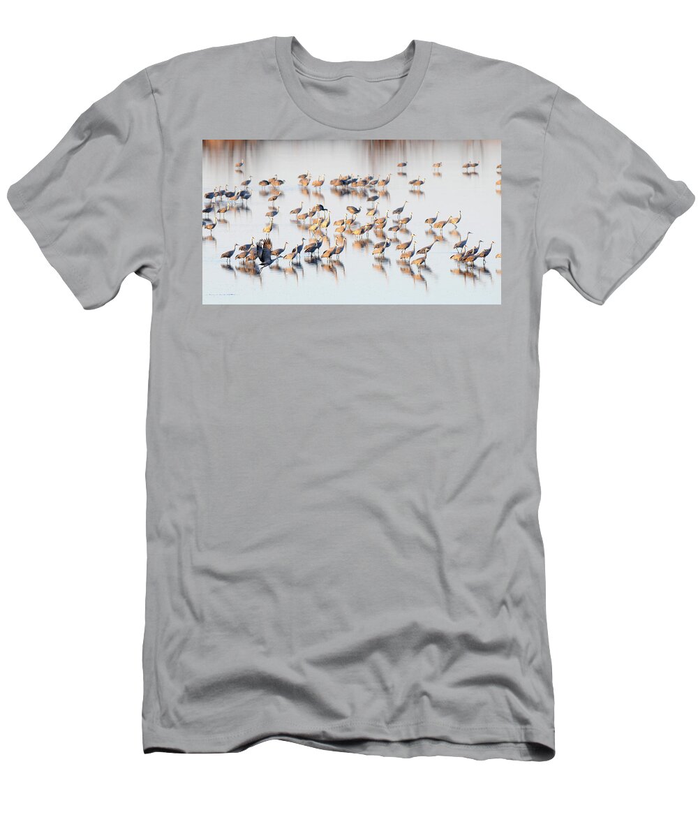 Richard E. Porter T-Shirt featuring the photograph First One Off, Color - Muleshoe Wildlife Refuge, Texas by Richard Porter