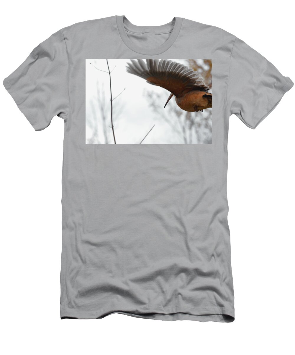 American Woodcock T-Shirt featuring the photograph Flight feathers by Asbed Iskedjian
