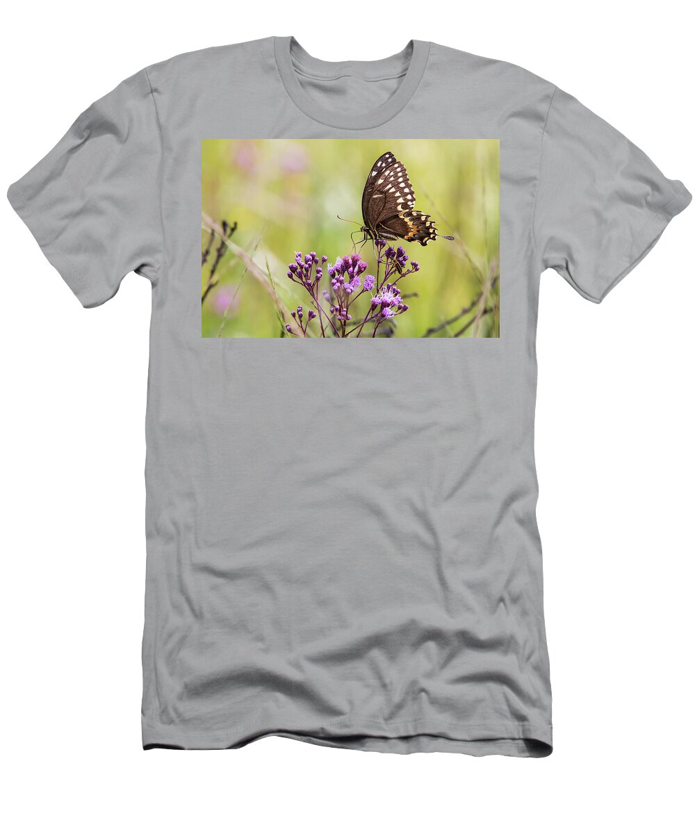 Butterfly T-Shirt featuring the photograph Fragile Wings by Bob Decker
