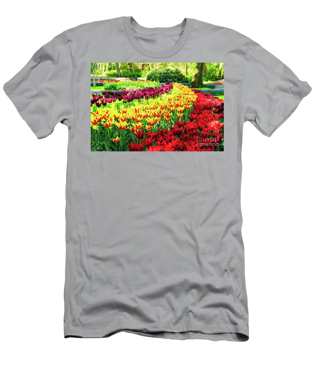 Netherlands T-Shirt featuring the photograph Tulips Park by Anastasy Yarmolovich