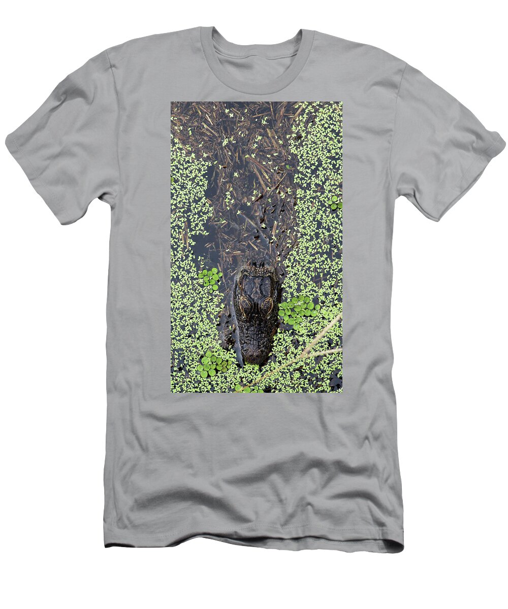 Alligator T-Shirt featuring the photograph From the Sticks by Michael Allard