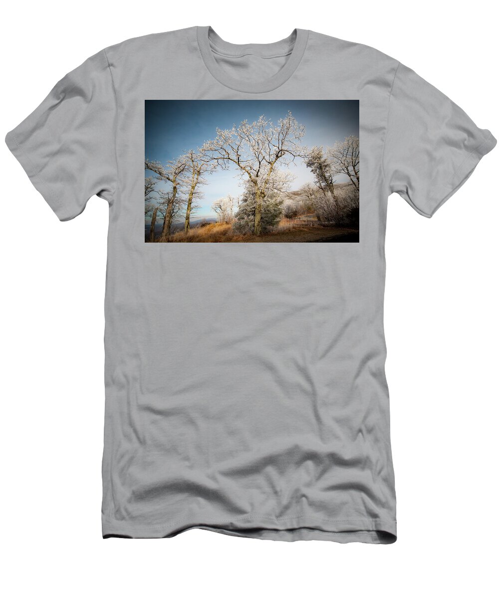 Blue Ridge T-Shirt featuring the photograph Frost on the Mountain by Mark Duehmig