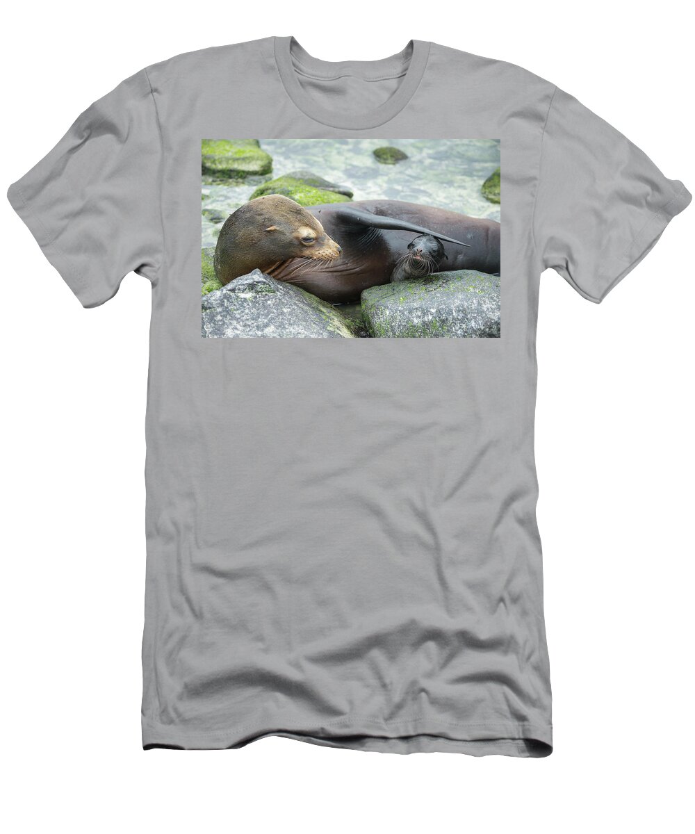 Animal T-Shirt featuring the photograph Galapagos Sea Lion Bonding With Newborn Pup by Tui De Roy