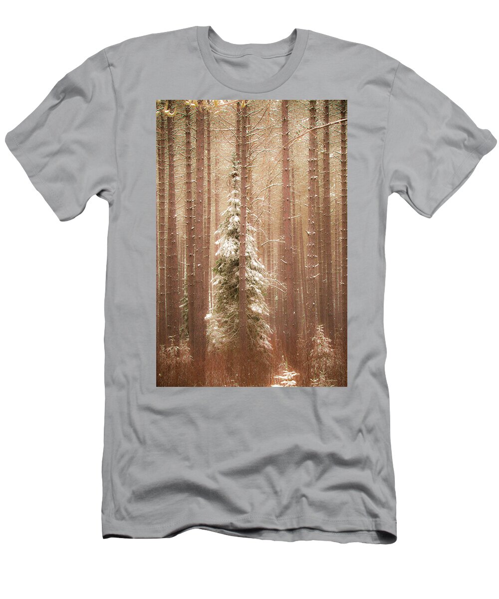 George Washington Pines T-Shirt featuring the photograph George Washington Pines by Joe Kopp