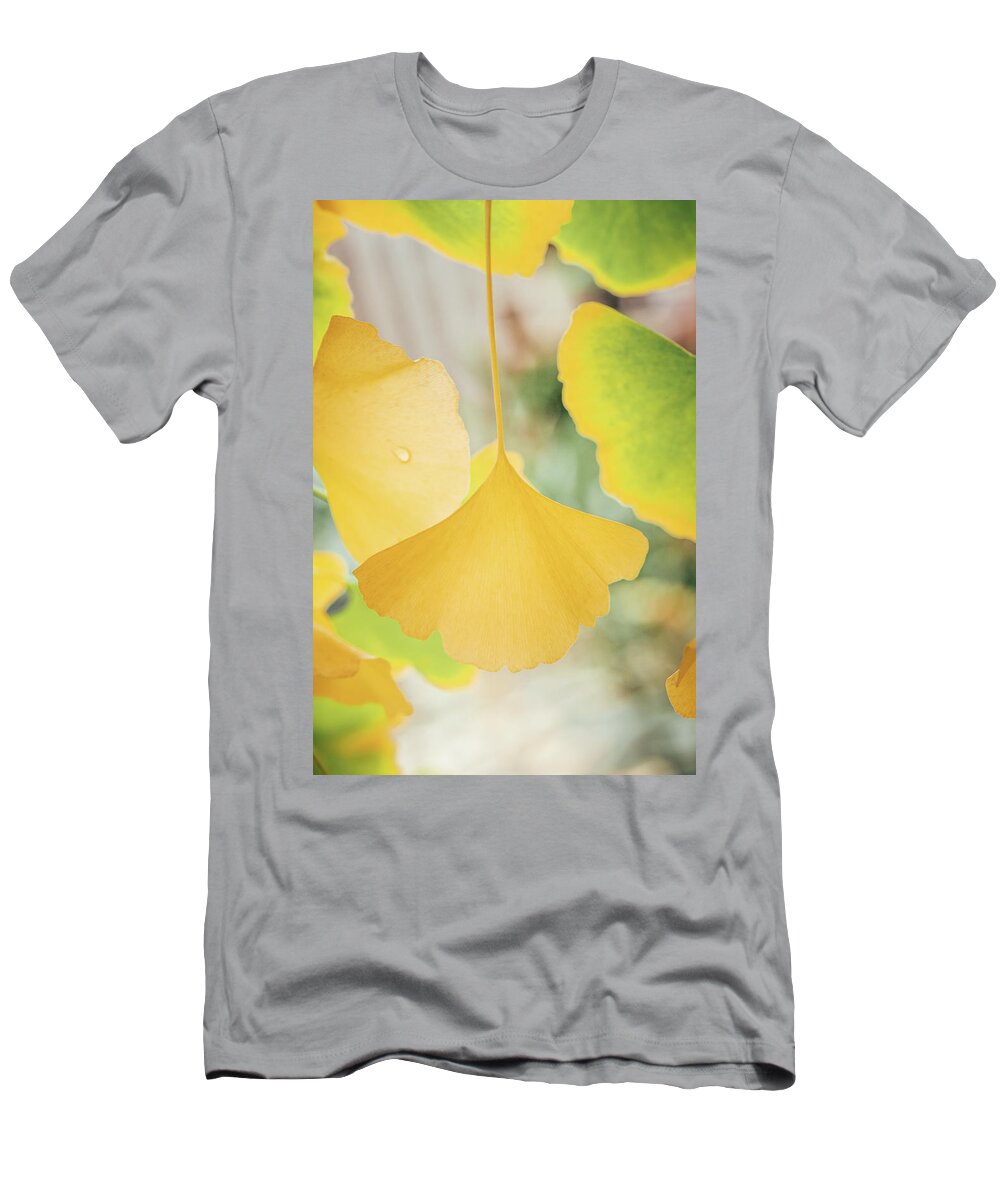 Ginkgo T-Shirt featuring the photograph Ginkgo Symbol by Philippe Sainte-Laudy