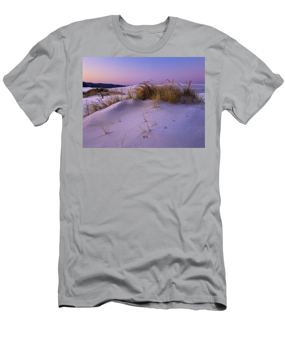 Cold T-Shirt featuring the photograph Grass and Frost at Dawn by Robert Potts