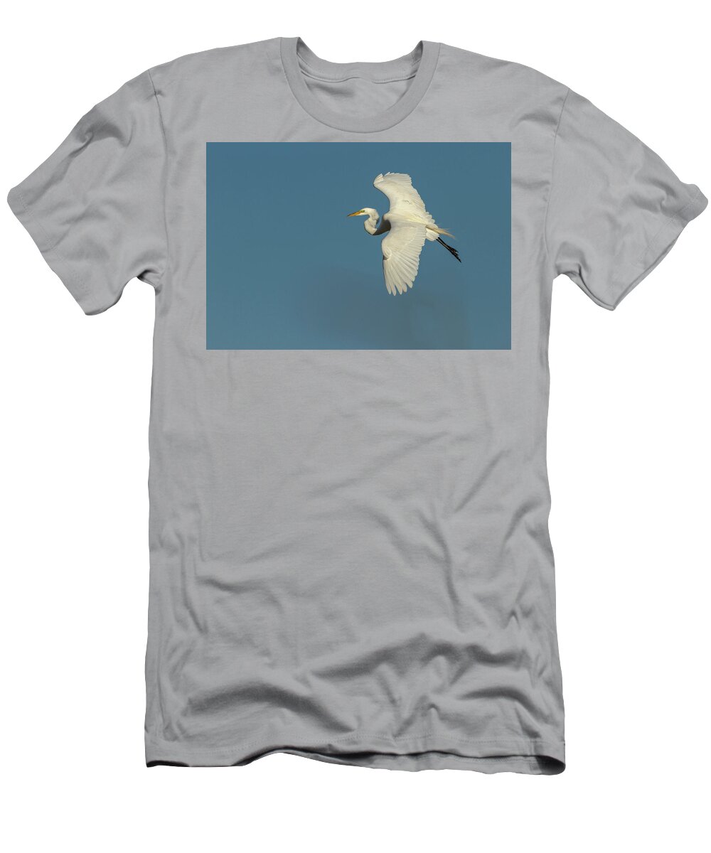 Great Egret T-Shirt featuring the photograph Great Egret 2014-9 by Thomas Young
