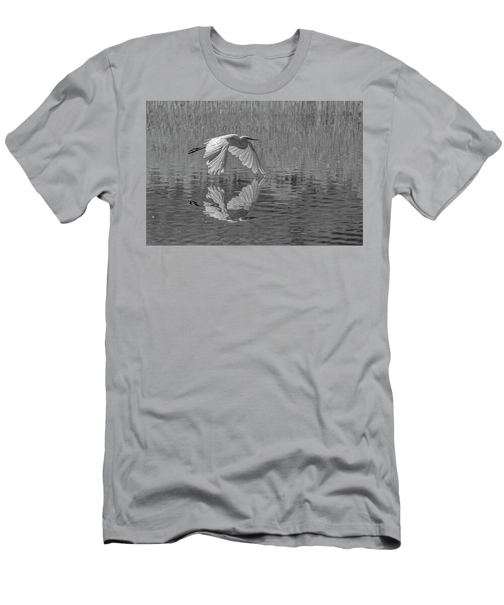 Great White Egret T-Shirt featuring the photograph Great White Egret BW 1 by Rick Mosher
