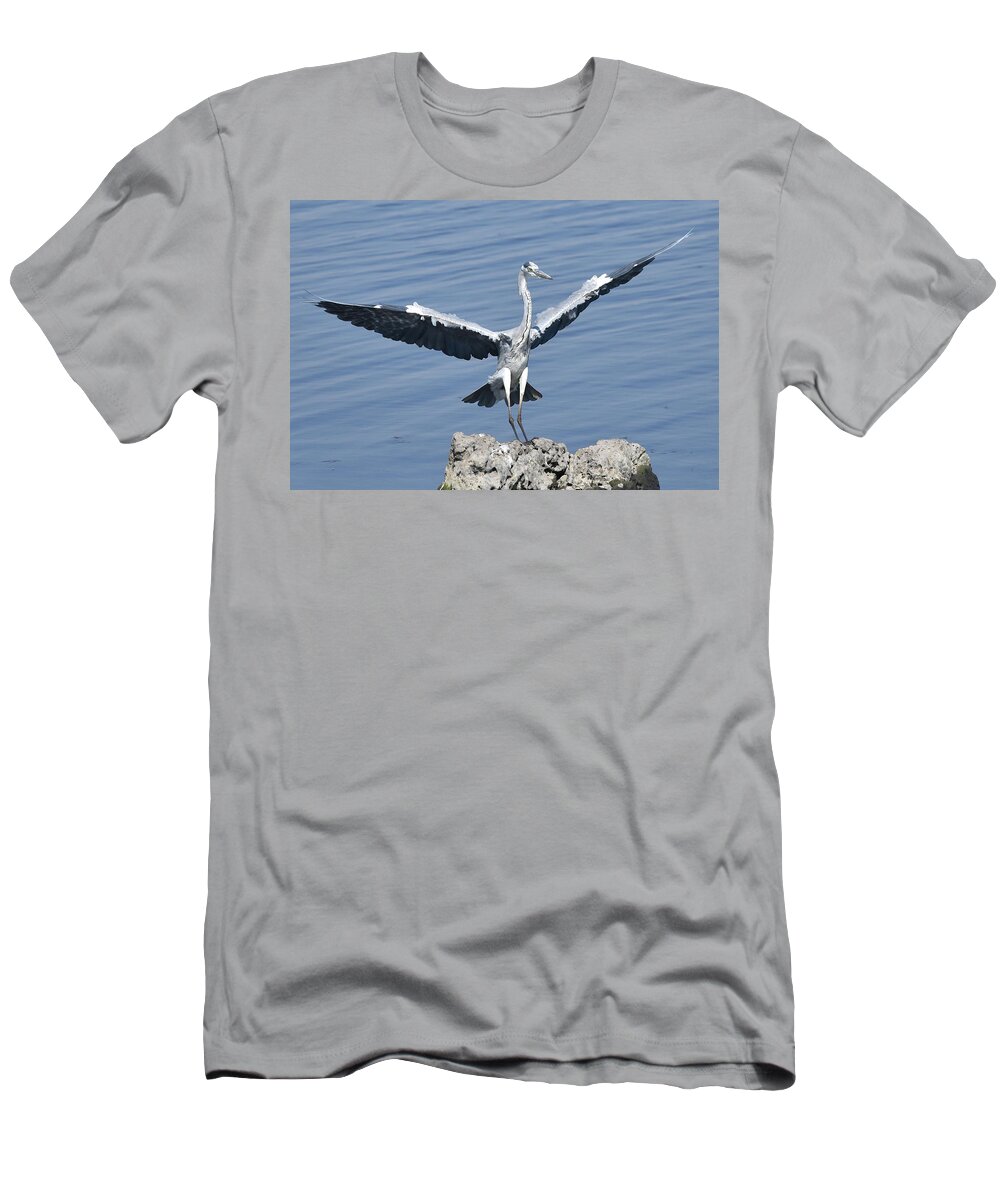 Heron T-Shirt featuring the photograph Grey Heron Landing by Ben Foster