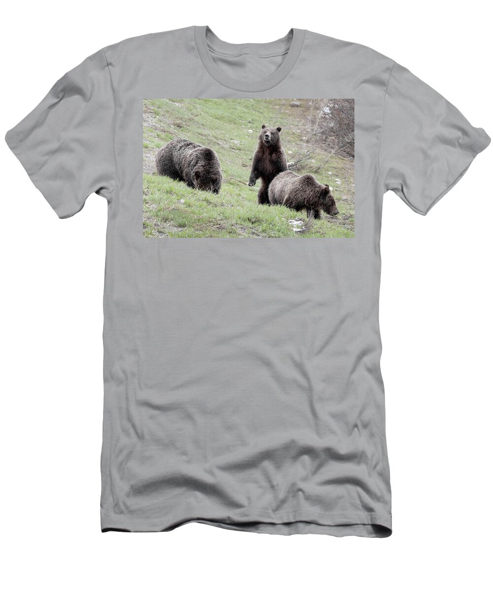 Grizzly T-Shirt featuring the photograph Grizzly 610 and cubs by Ronnie And Frances Howard