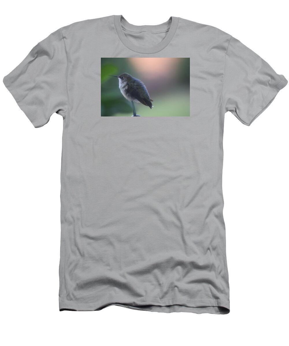 Hummingbird At Rest T-Shirt featuring the photograph Hummingbird at Rest by Debra Grace Addison