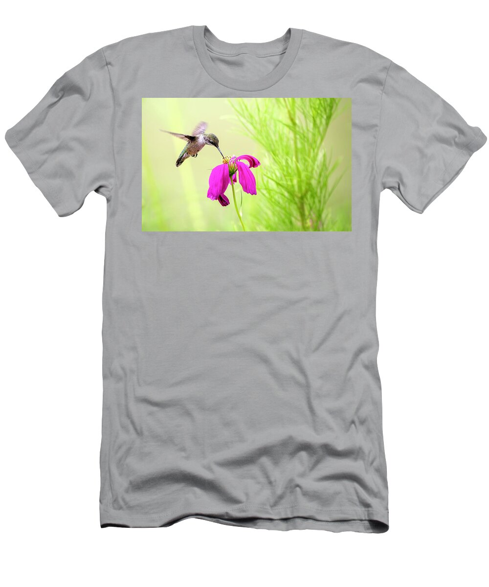 Hummingbird T-Shirt featuring the photograph Hummingbird Feeding by Deborah Penland