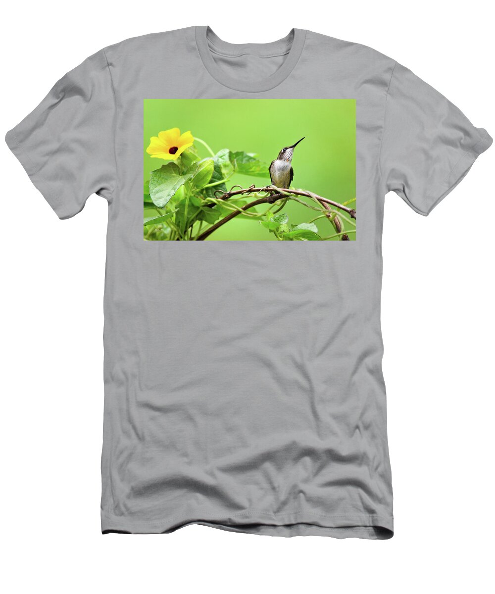 Hummingbird T-Shirt featuring the photograph Hummingbird Pause by Christina Rollo