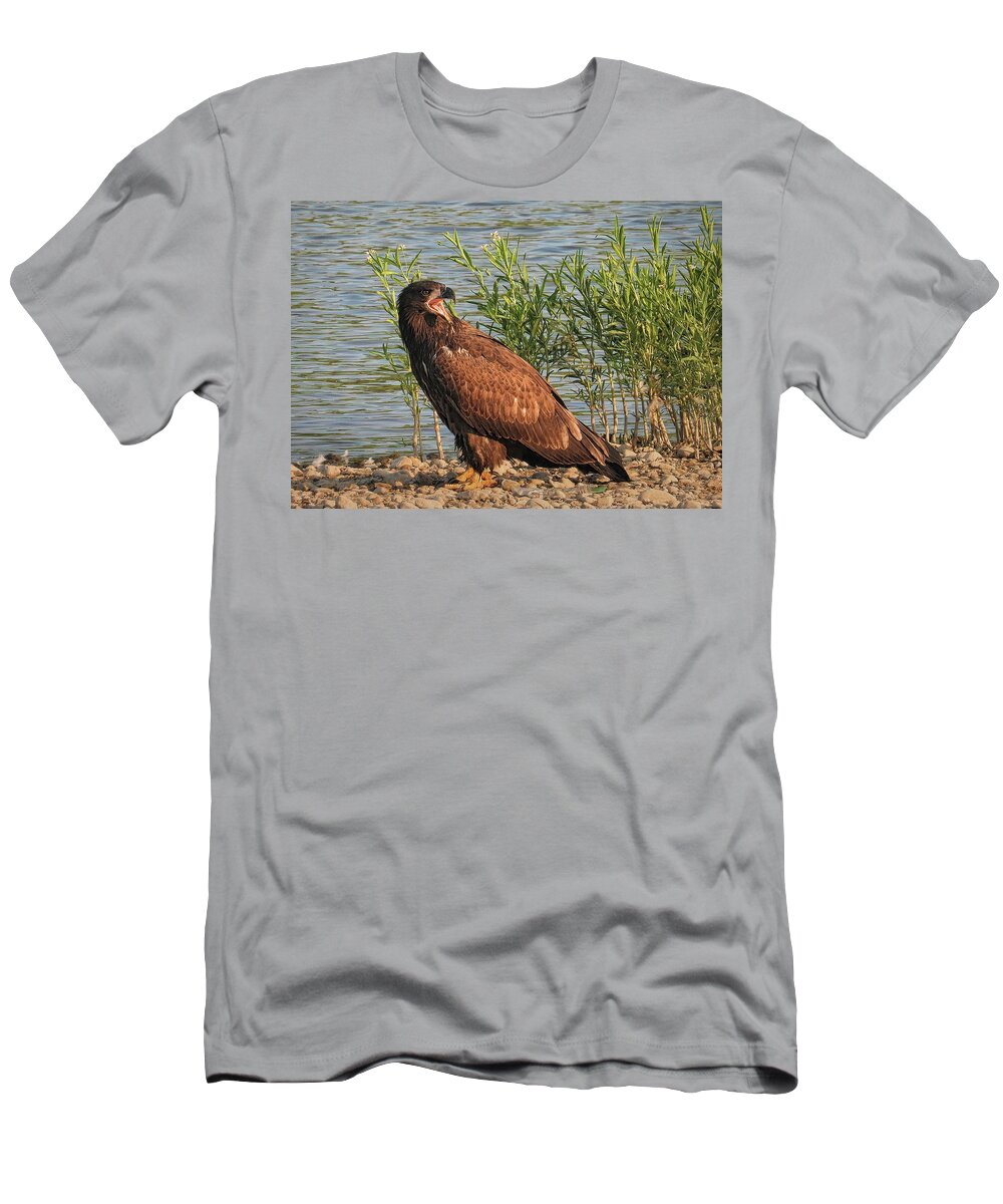  T-Shirt featuring the photograph I'm Hungry, Mom by Jack Wilson