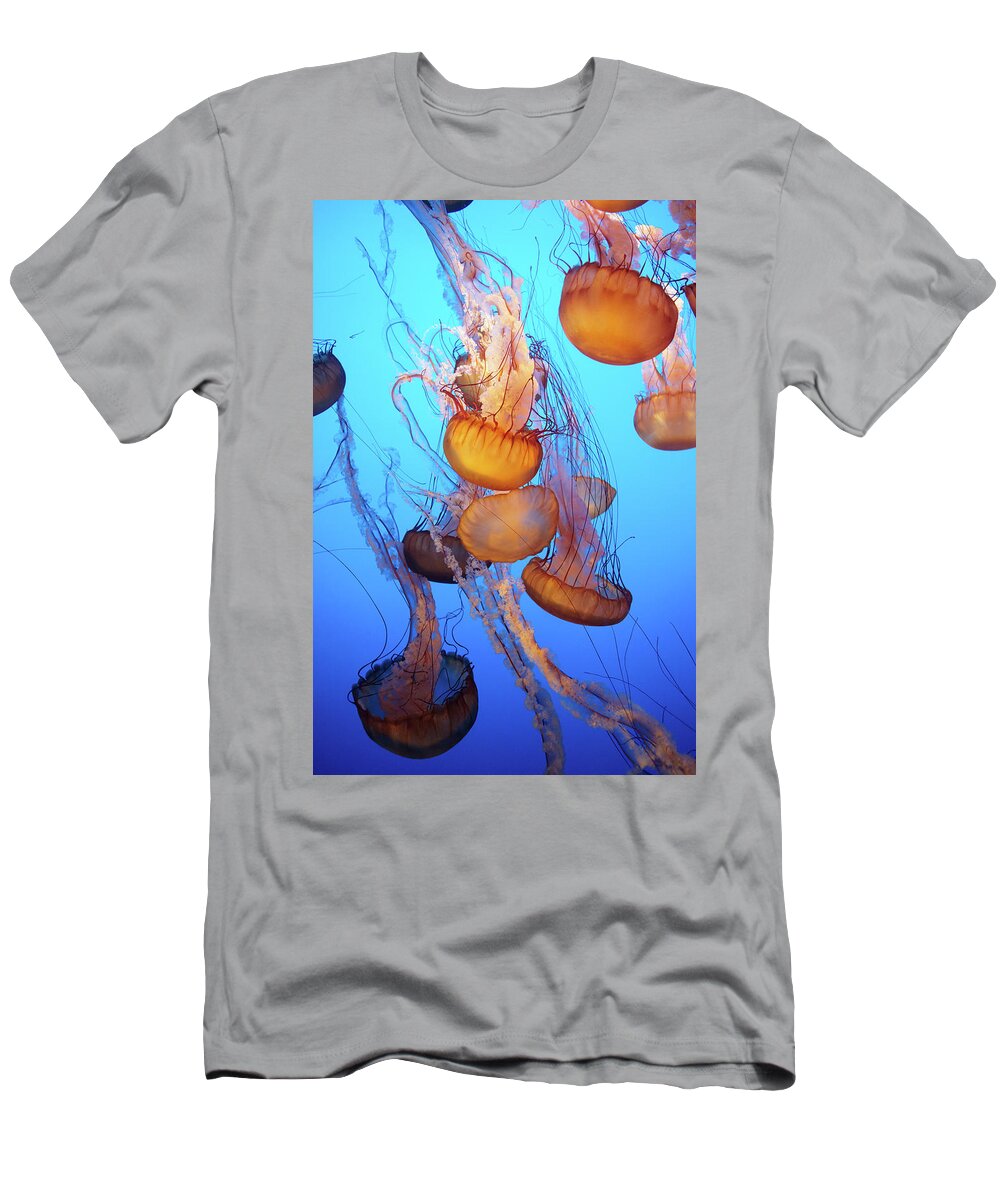 Ip_71336232 T-Shirt featuring the photograph Jellyfish At The Monterey Bay Aquarium In Monterey, California, Usa. by Julia Franklin Briggs