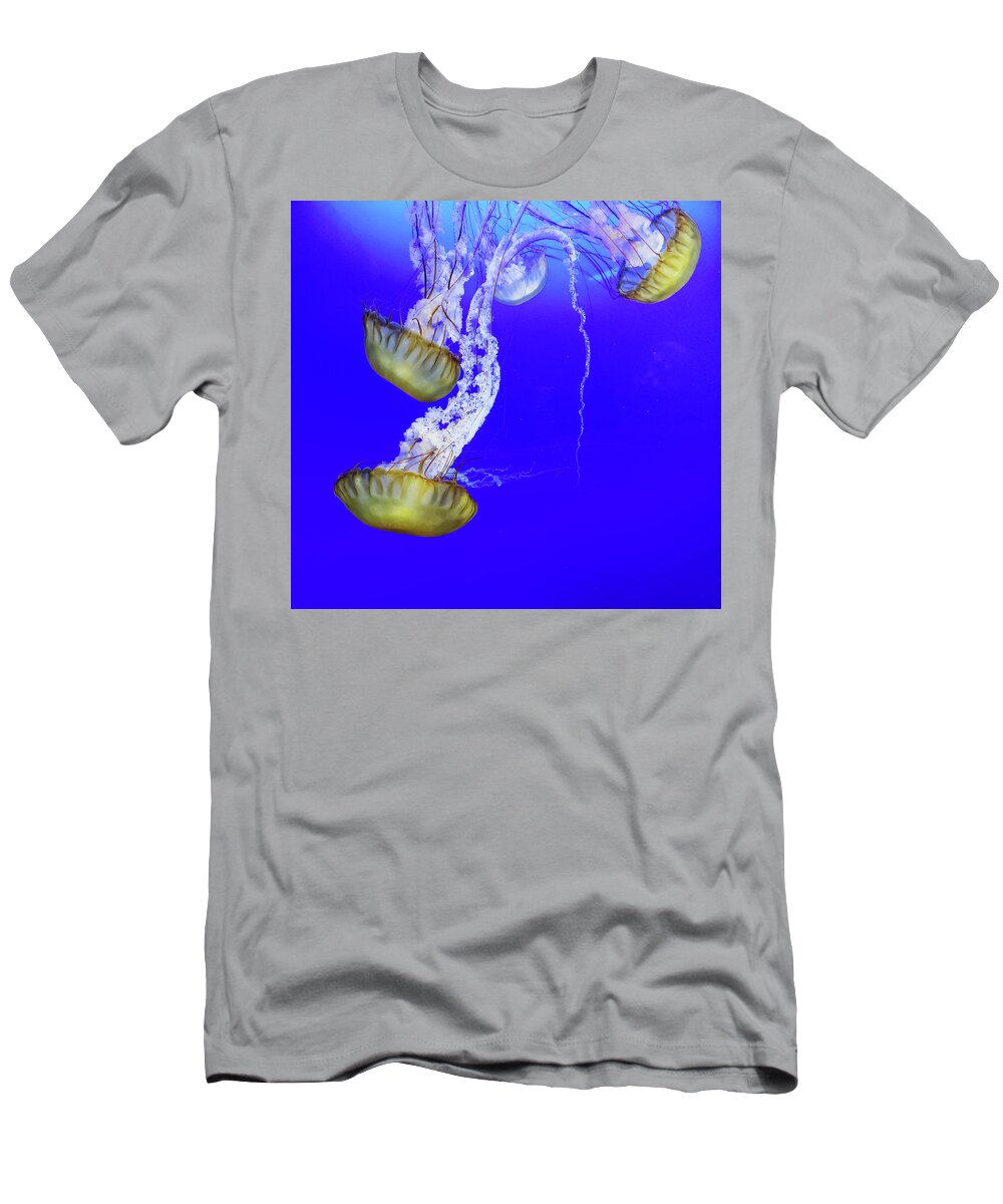 Jelly T-Shirt featuring the photograph Jellys by Bob Cournoyer