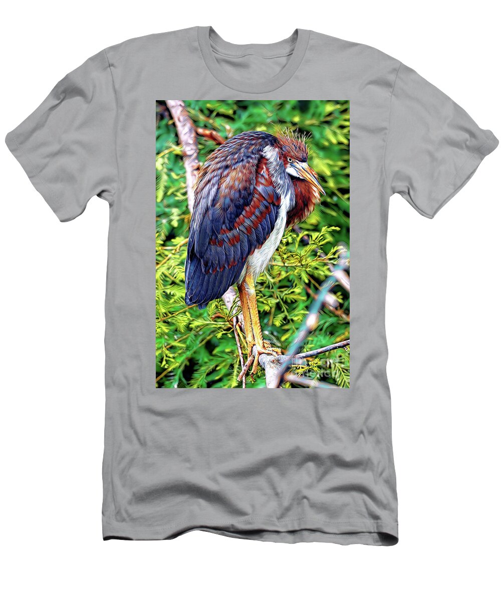 Herons T-Shirt featuring the mixed media Juvenile Tricolored Heron Art by DB Hayes