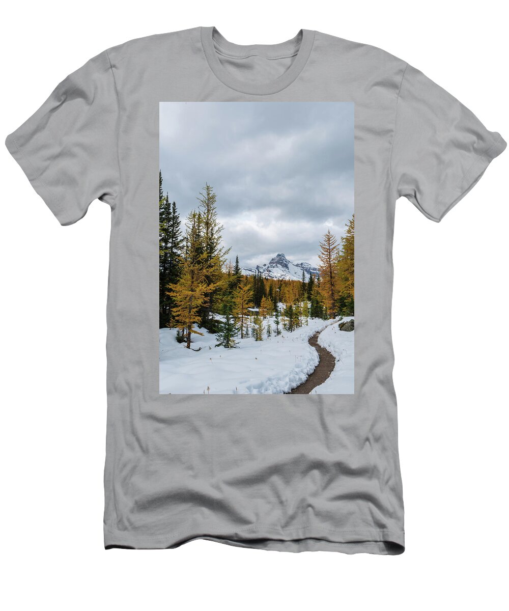 Outdoor; Peaks; Reflection; Larches; Snow; Mountains; Wiwaxy Peaks; Yoho National Park; Rocky Mountains; British Columbia; Canada T-Shirt featuring the digital art Larches in West Opabin Trail by Michael Lee