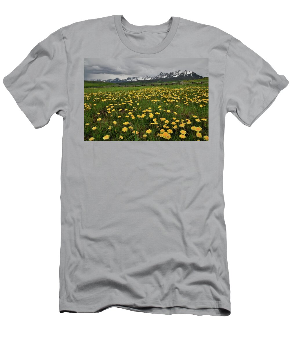 Ouray T-Shirt featuring the photograph Last Dollar Road Dandelions by Ray Mathis