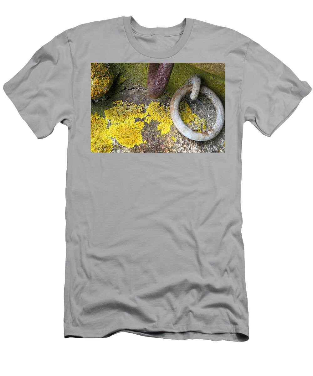 Nh T-Shirt featuring the photograph Life Among Rings by Vicky Edgerly
