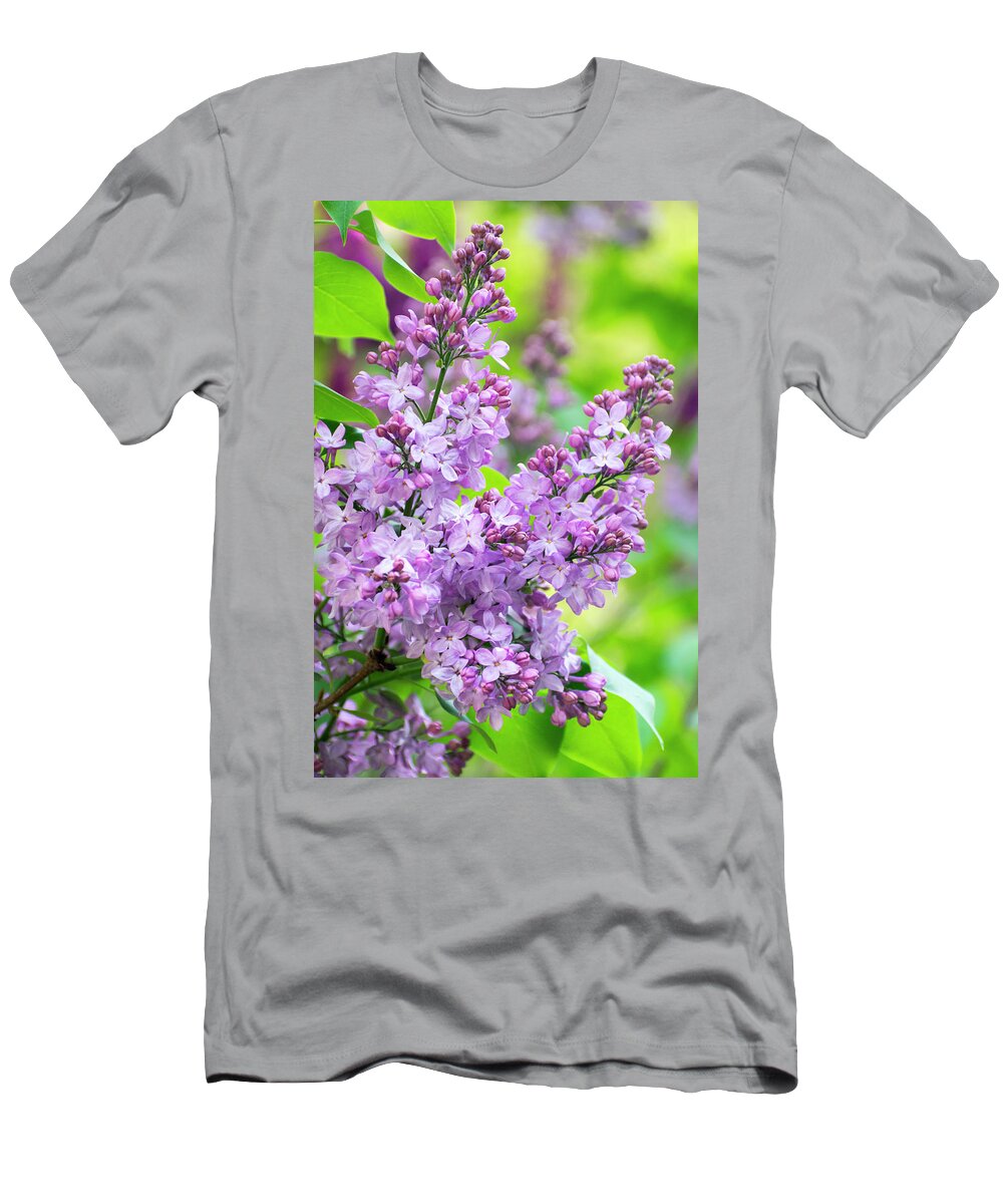 Flowers T-Shirt featuring the photograph Lilac Flowers by Christina Rollo
