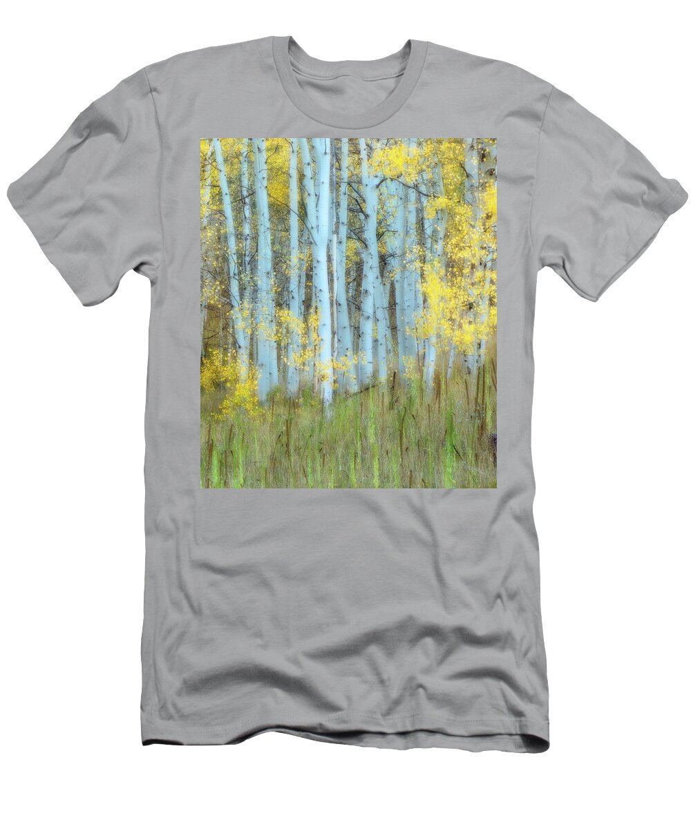 Colorado T-Shirt featuring the photograph Lines by Judi Kubes