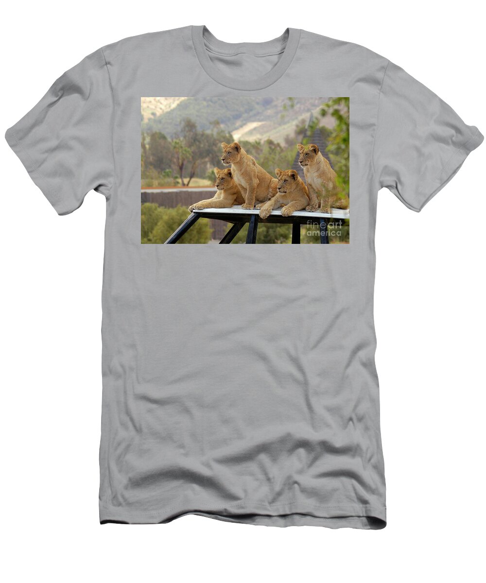 Cub T-Shirt featuring the photograph Lion cubs waiting for mom and dad to get back. by Gunther Allen