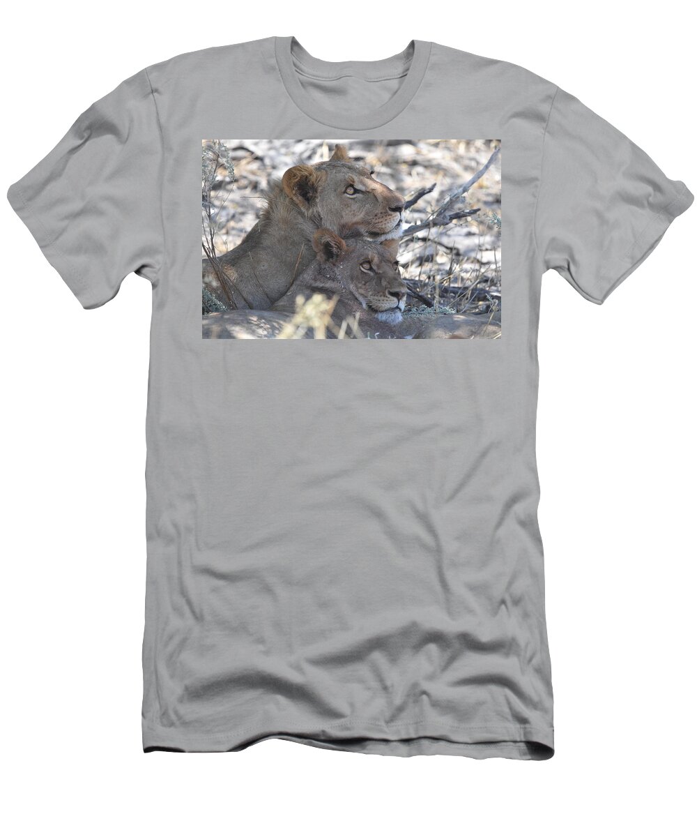 Lion T-Shirt featuring the photograph Lion Pair by Ben Foster